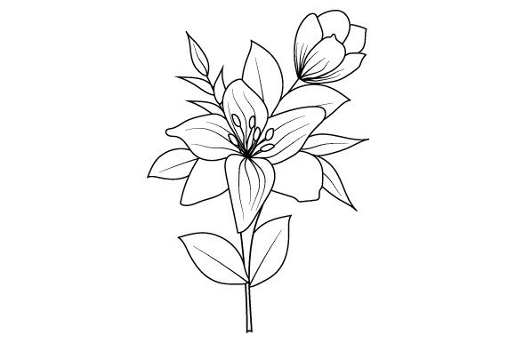 Black & White Flower: Hand-Drawn Botanicals for Any Project