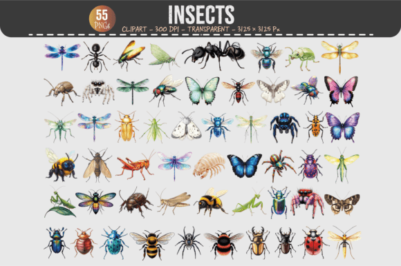 Explore Nature's Detail with Insects Clipart – 55 PNGs