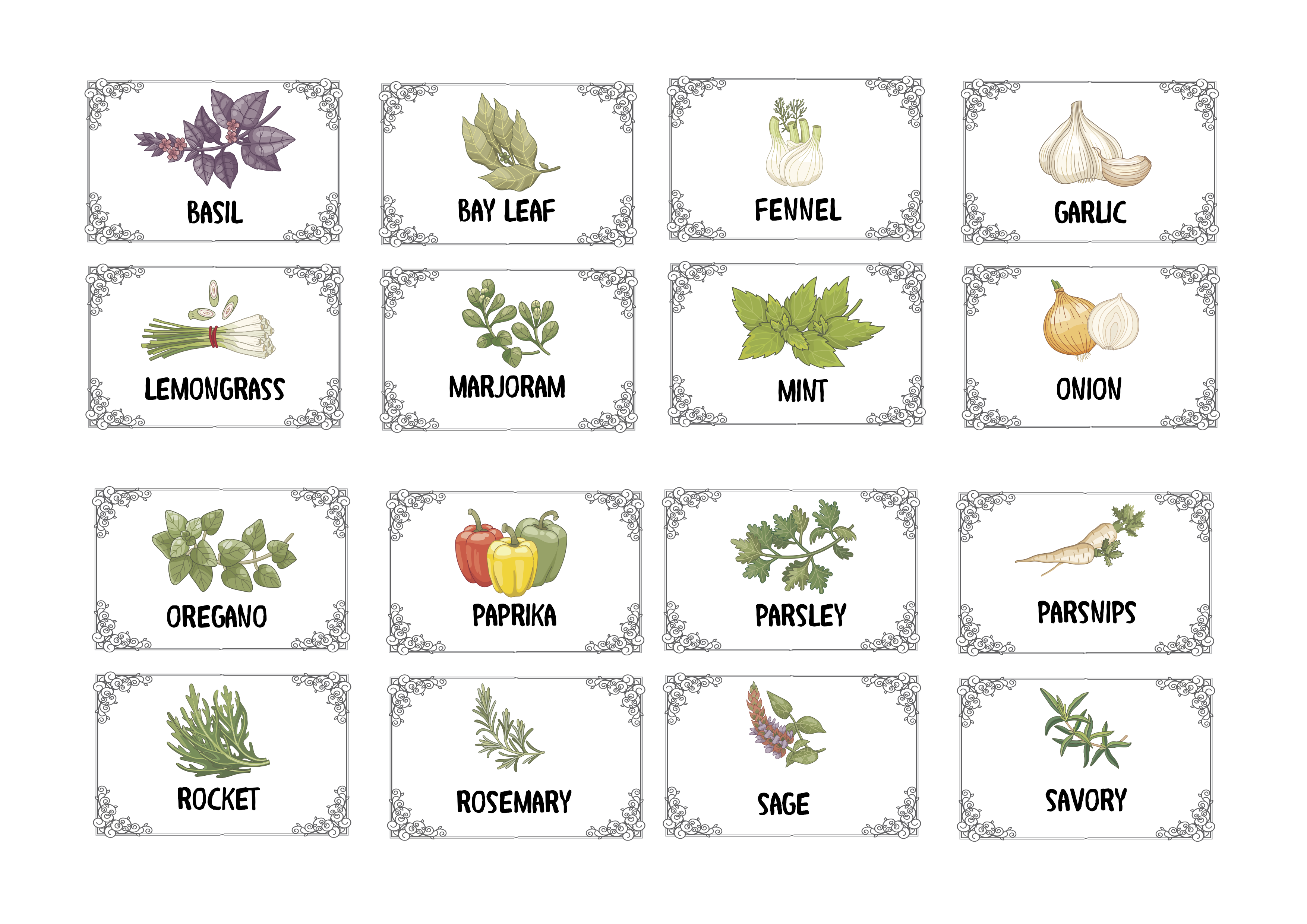 Organize Your Pantry with Illustrated Herb & Spice Labels
